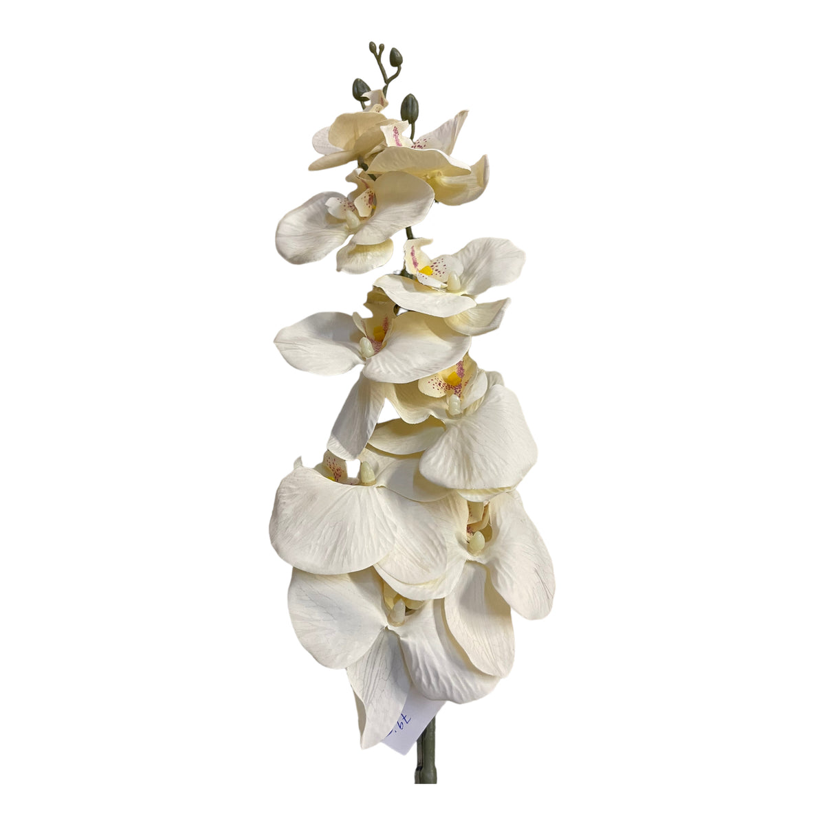 konstgjord orkidé blomma i kvist