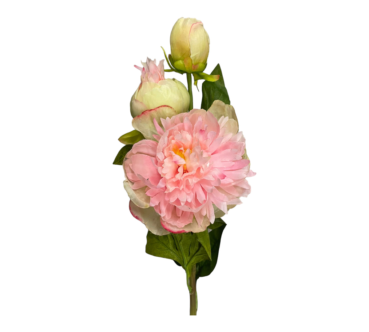 pioner konstgjord rosa