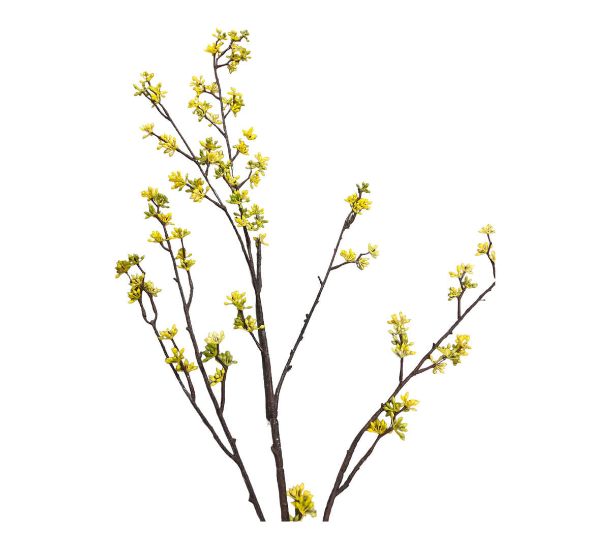 konstgjord. Forsythia kvist
