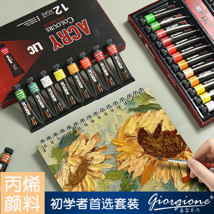 Acrylic målar färger 12pcs