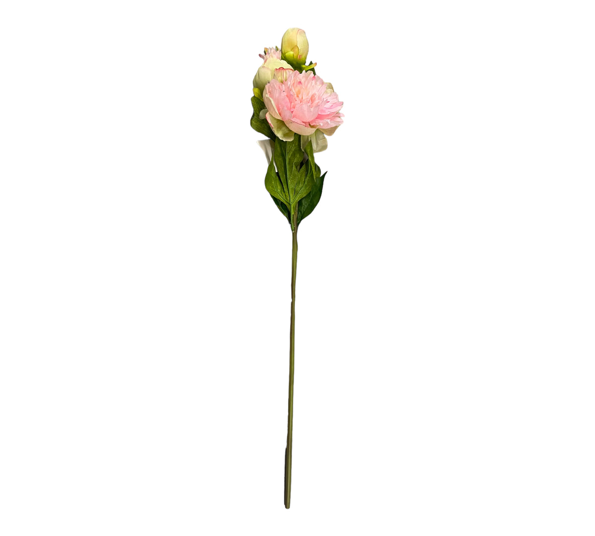 pioner konstgjord rosa