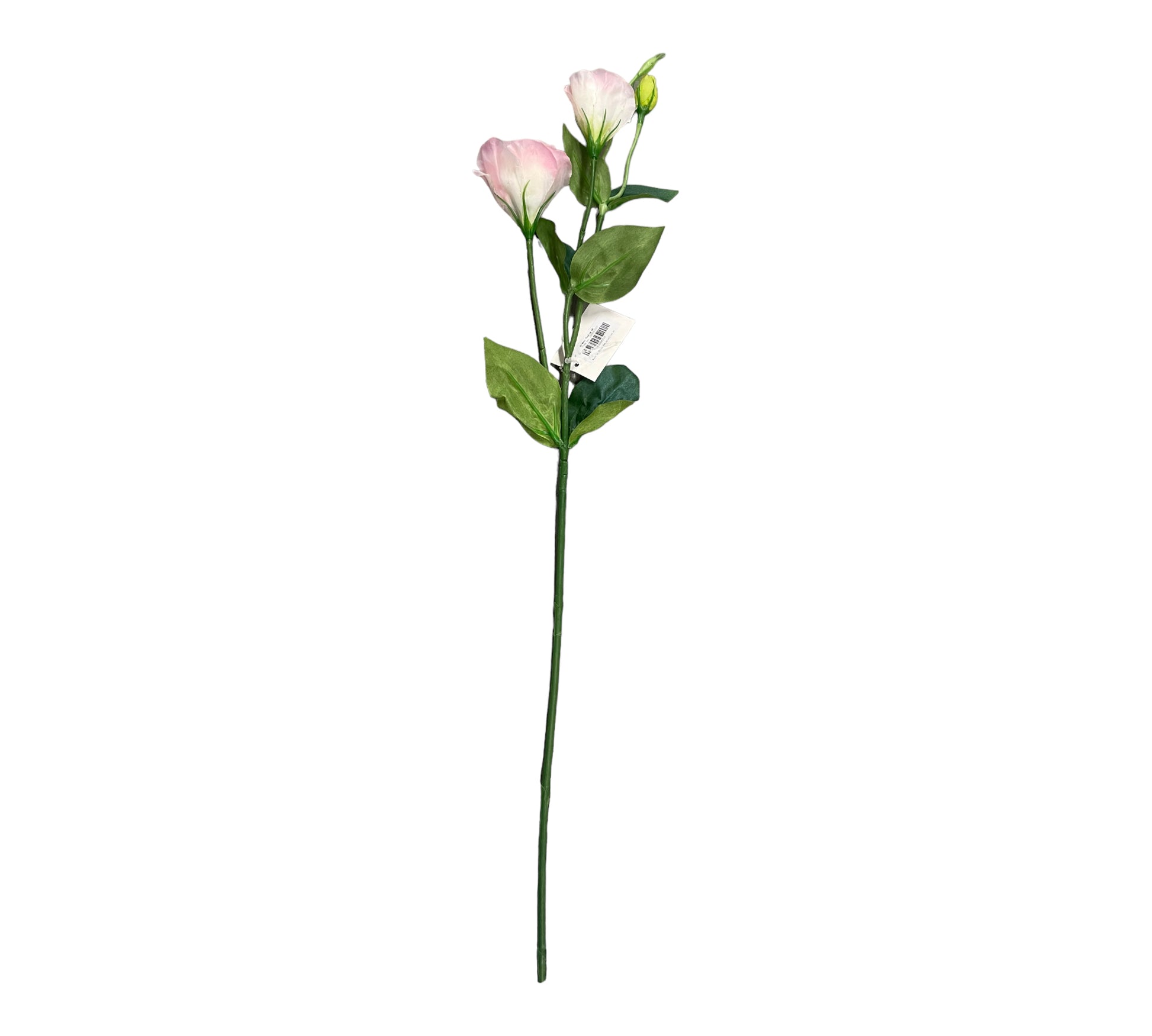 konstgjord Prärieklocka "ABC Deep Rose" Eustoma grandiflorum