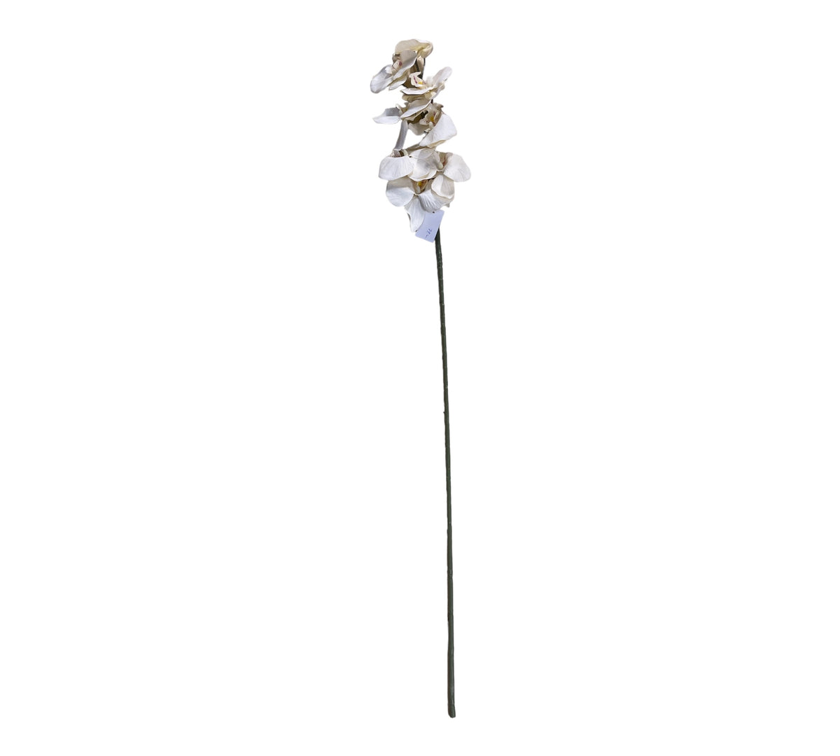 konstgjord orkidé blomma i kvist
