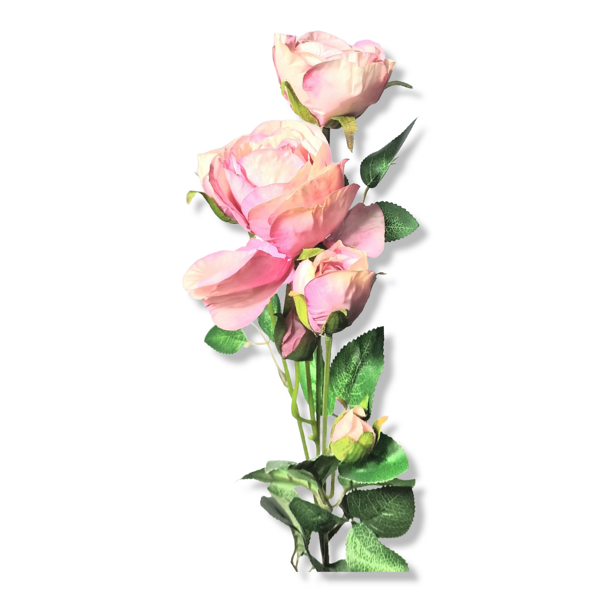 plastblomma